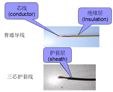 導線結構